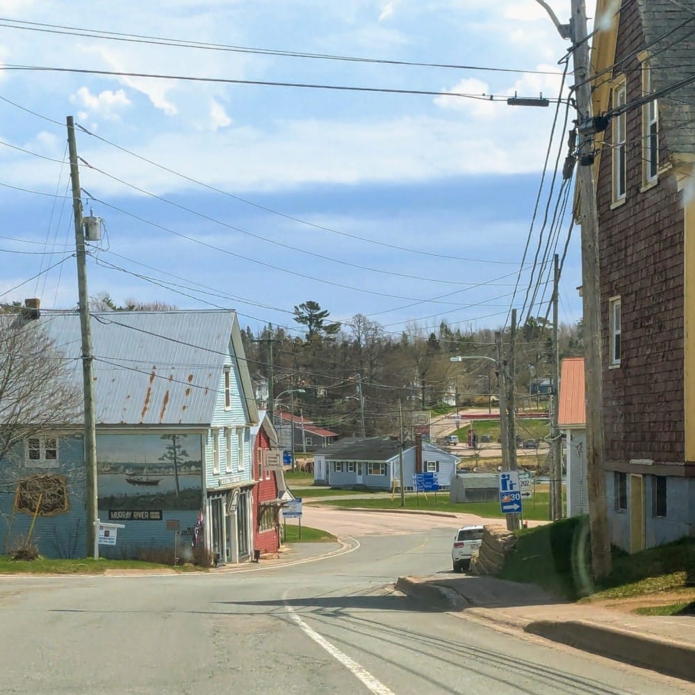 PXL_20250503_165513163~3 (1)